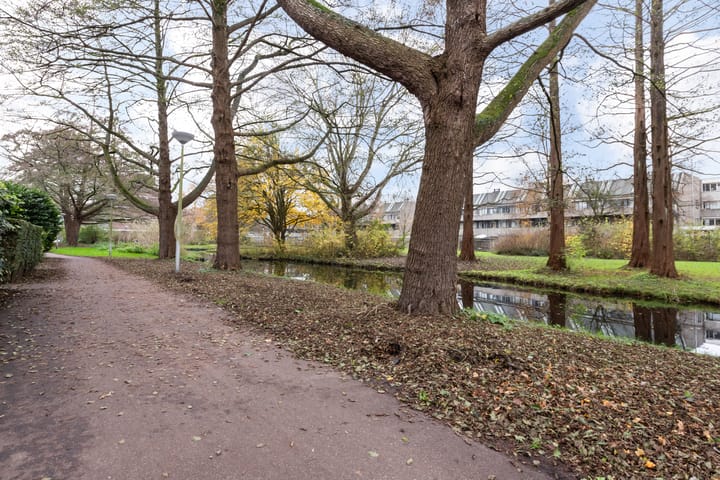 Photo 37 of Ruigenburg 219