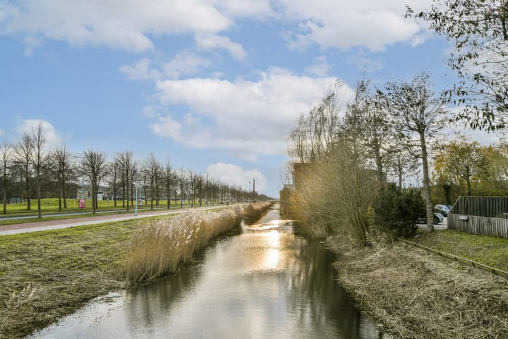 Photo 16 of Rottumeroog 124