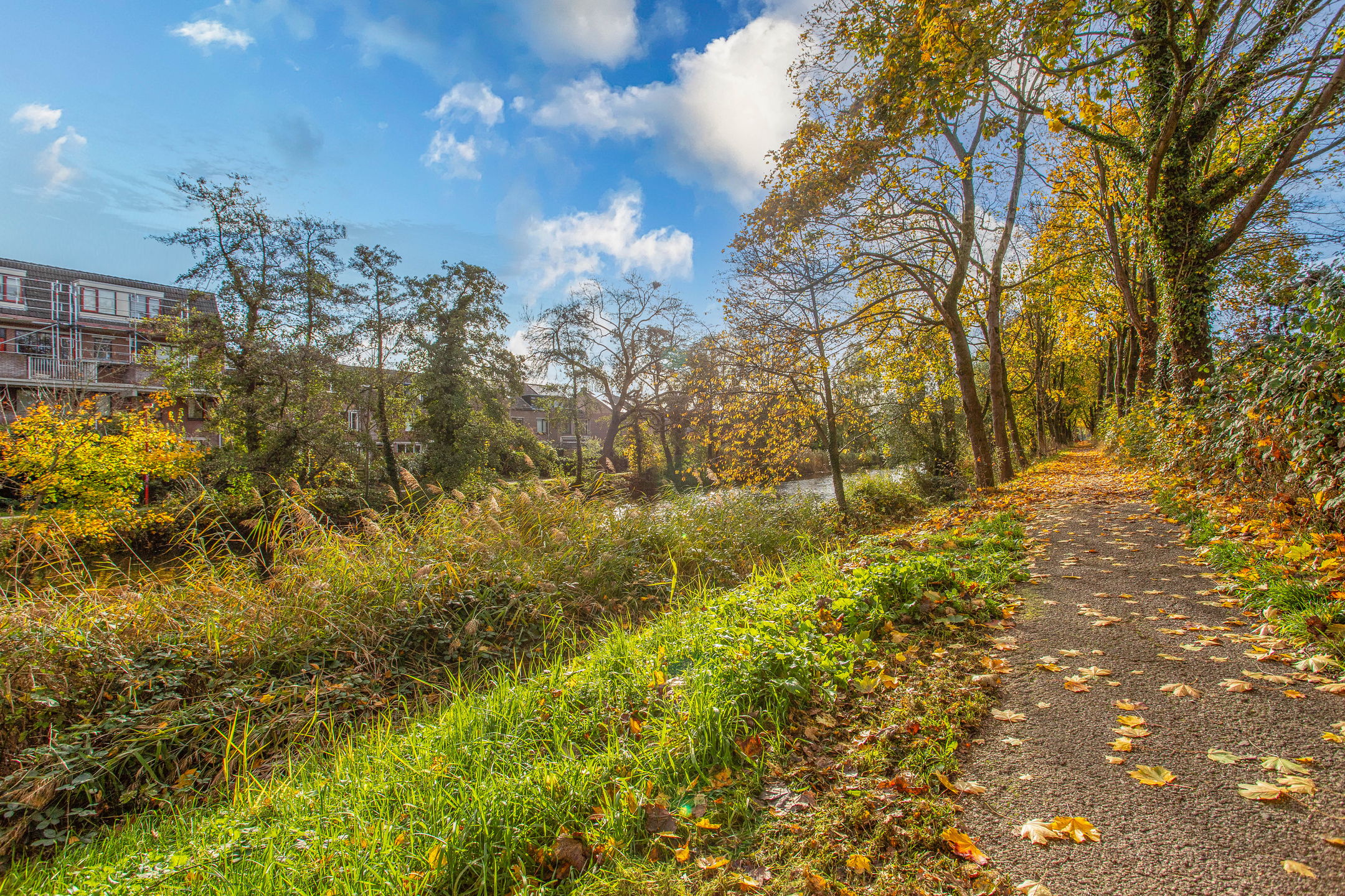 Foto 24 van Jungfrau 83