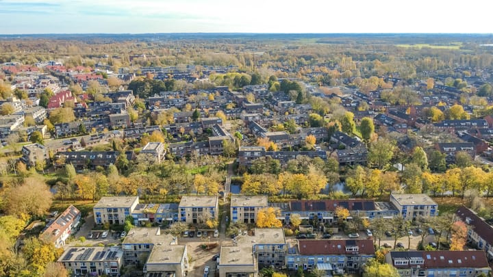 Photo 29 of Jungfrau 83