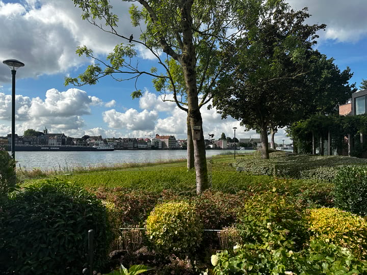 Foto 11 van Grevelingen 33