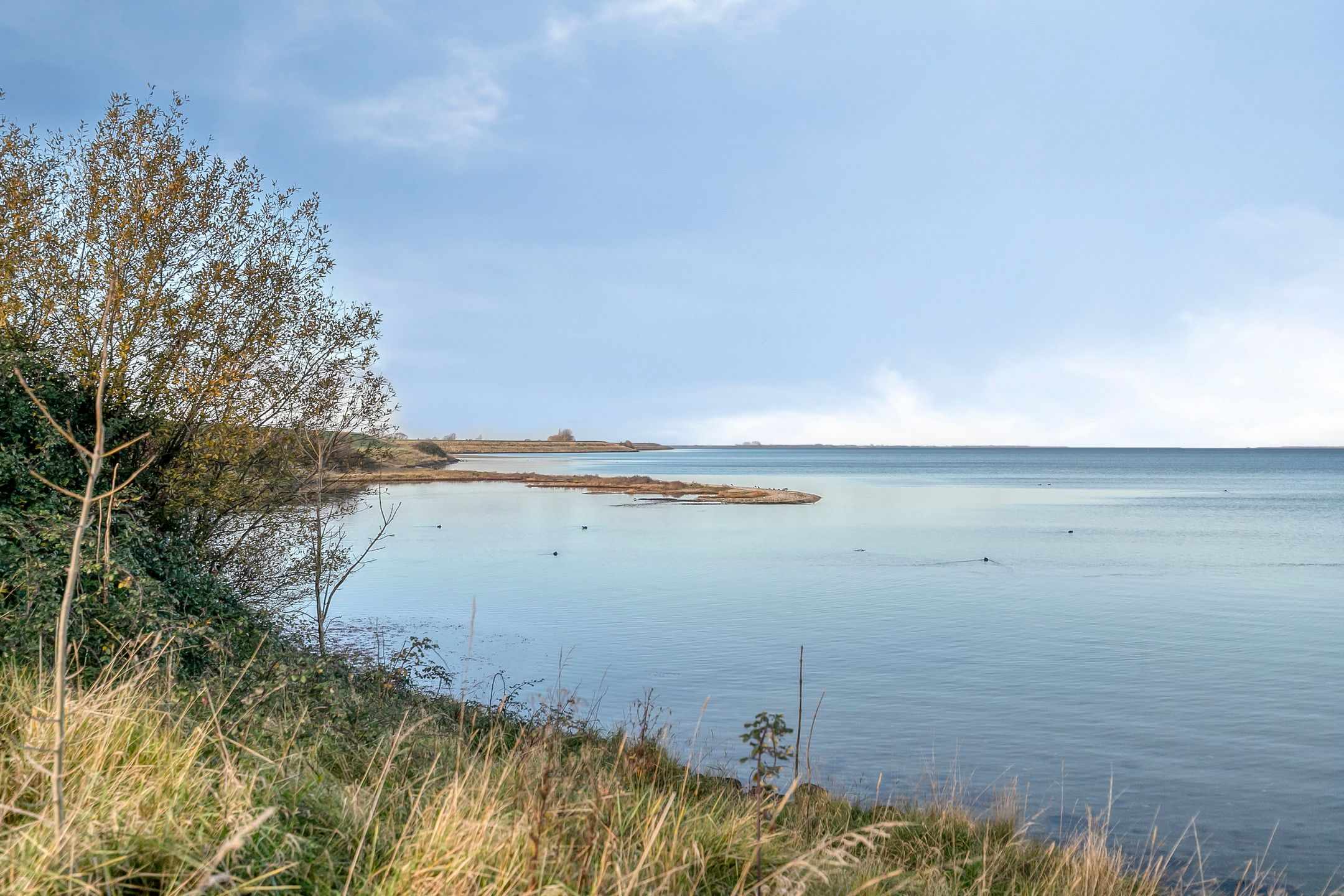 Photo 57 of Grevelingenhout 173