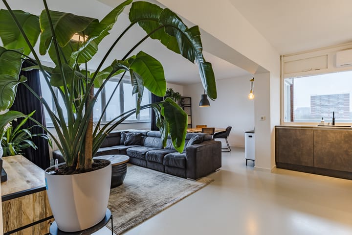 Foto 2 van Het Breed 597