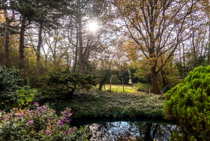 Almondehoeve main image