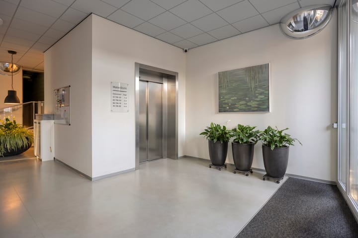 Foto 7 van Cantharel 14