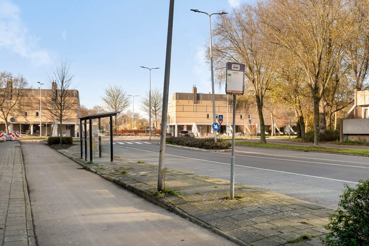 Foto 33 van Cantharel 14