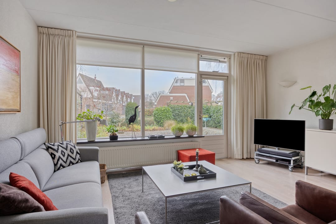 Foto 2 van Goudplevier 37