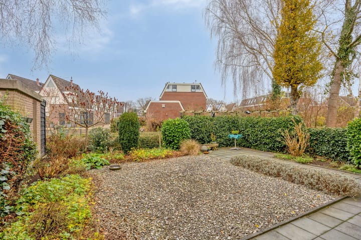 Foto 5 van Goudplevier 37