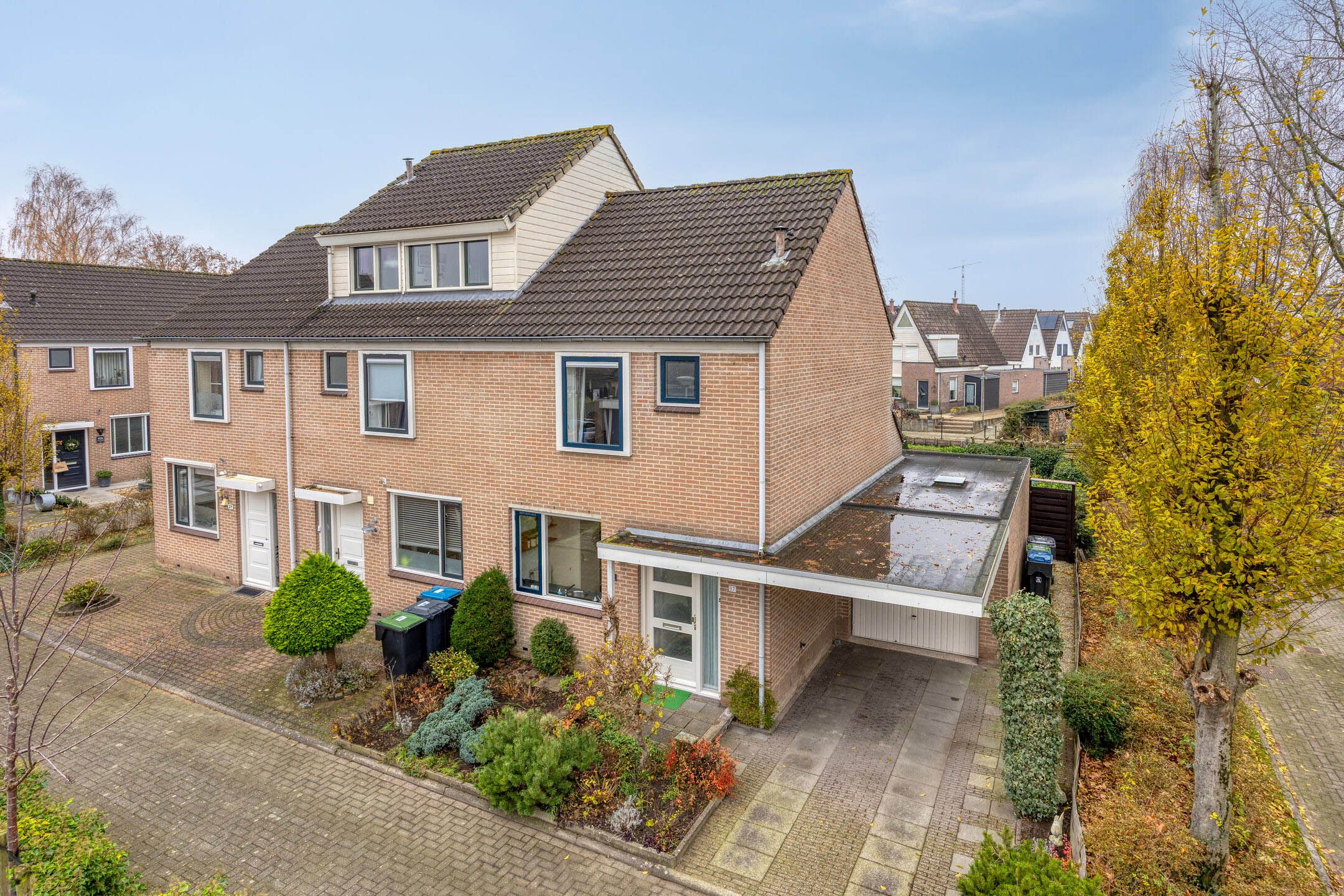 Foto 6 van Goudplevier 37