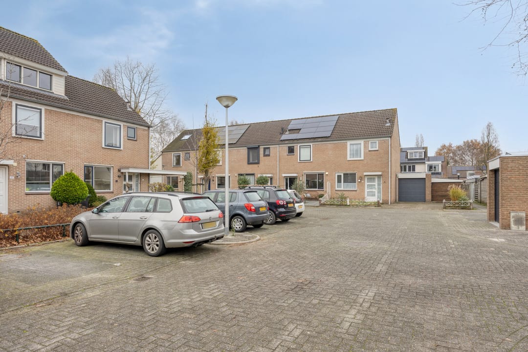 Foto 7 van Goudplevier 37