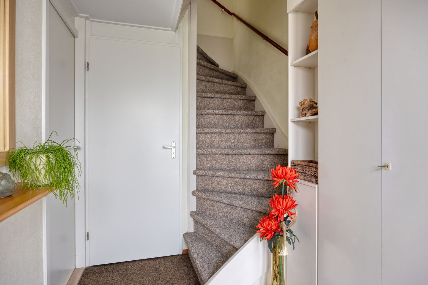 Foto 10 van Goudplevier 37