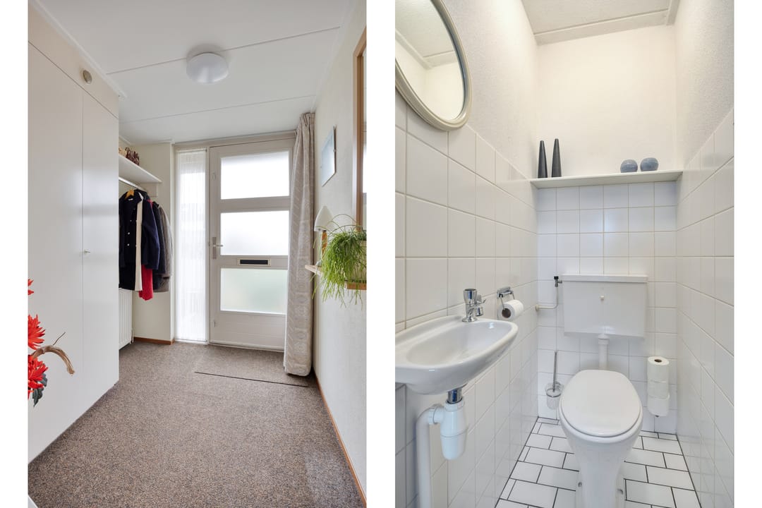 Foto 11 van Goudplevier 37