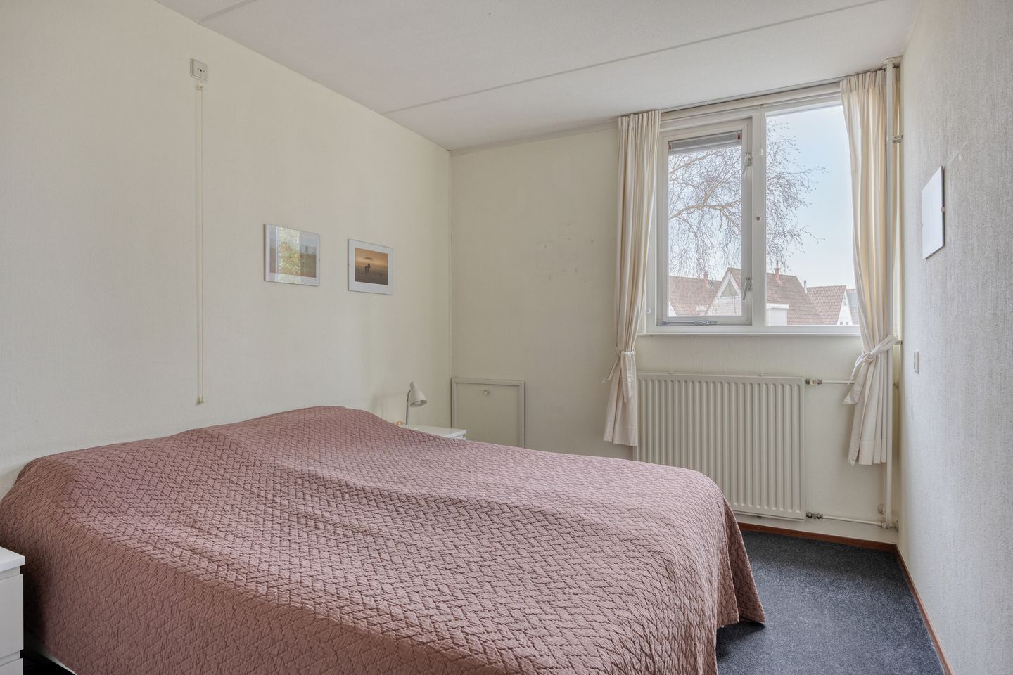 Foto 20 van Goudplevier 37