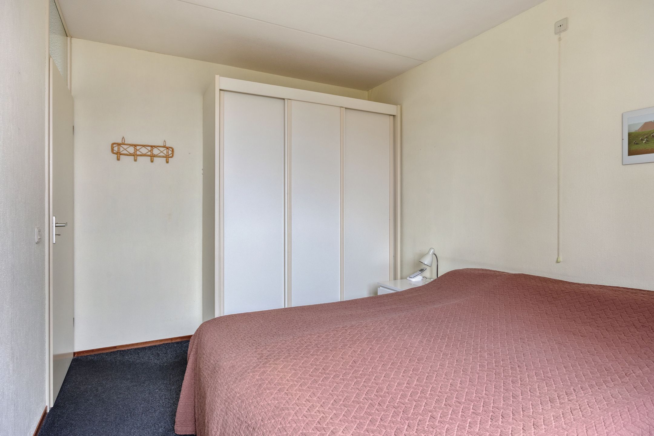 Foto 21 van Goudplevier 37