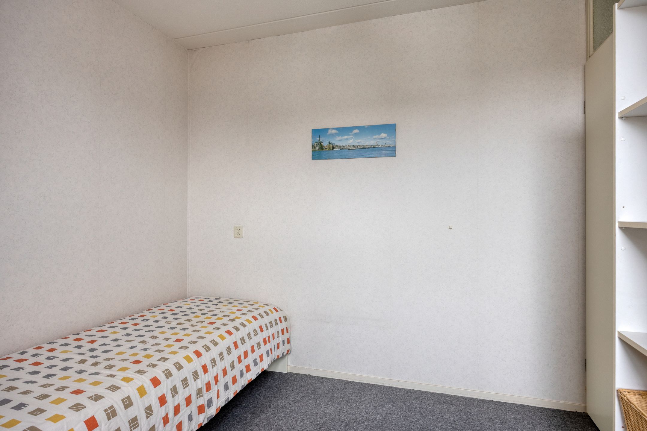 Foto 24 van Goudplevier 37