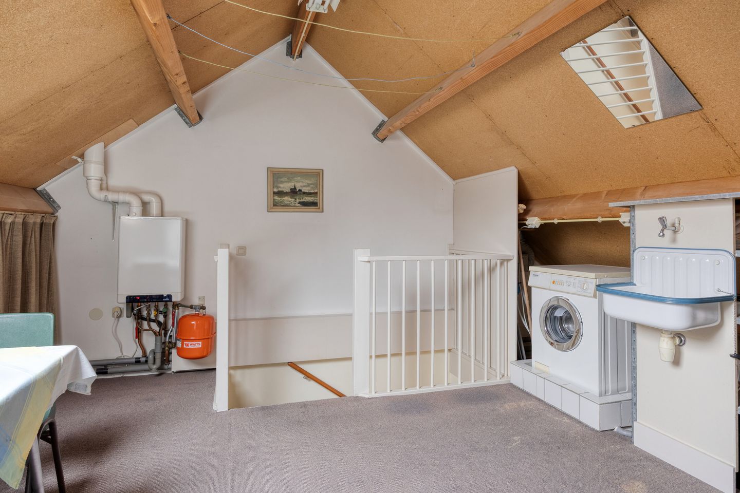 Foto 29 van Goudplevier 37