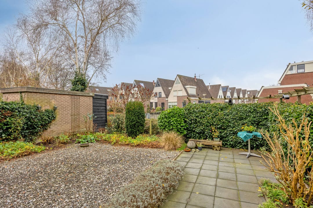 Foto 32 van Goudplevier 37