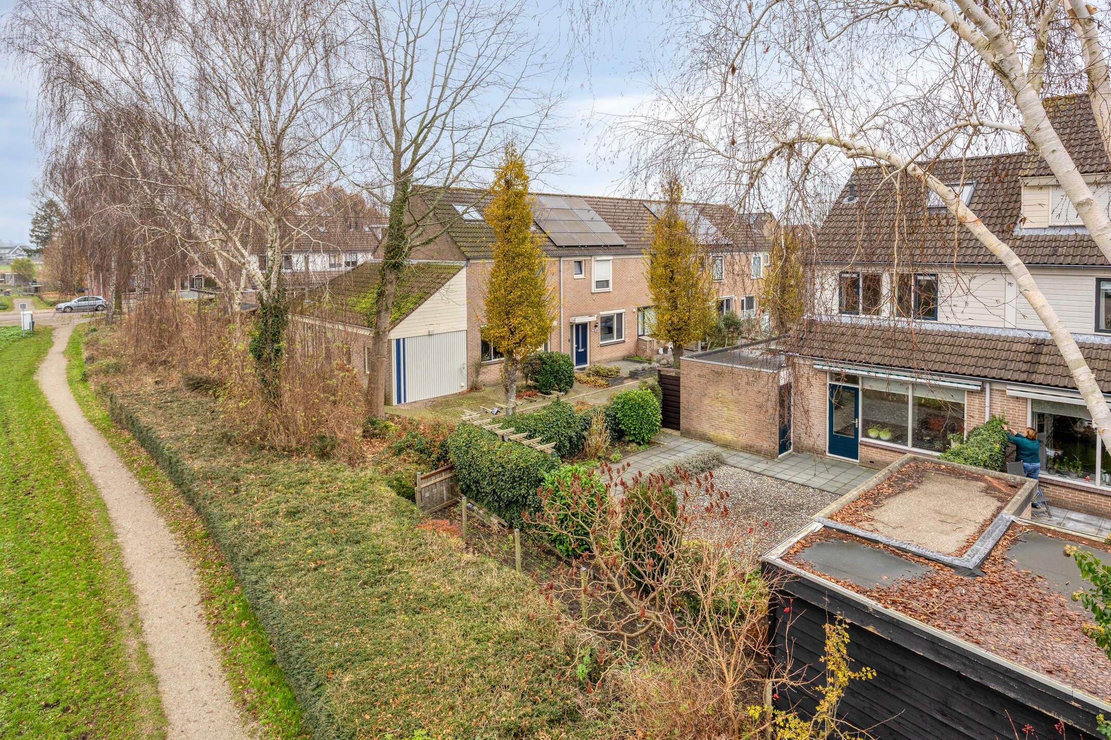 Foto 36 van Goudplevier 37