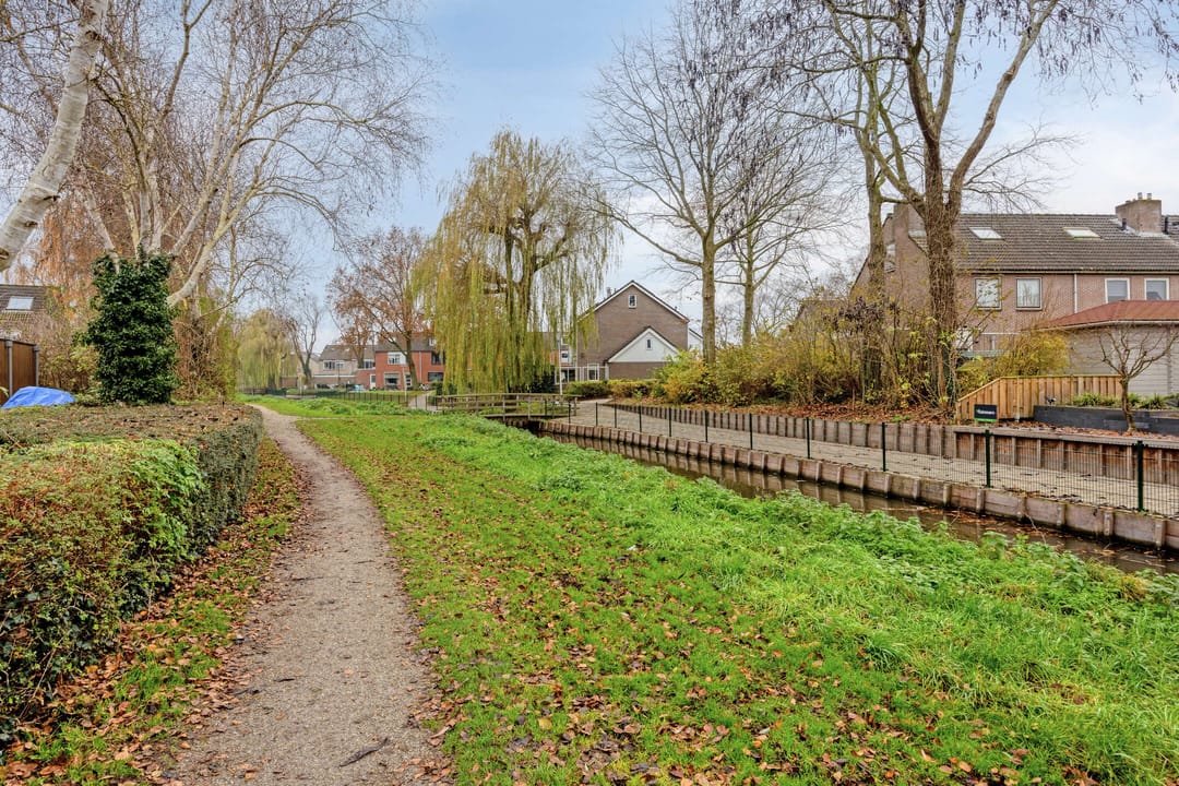 Foto 37 van Goudplevier 37