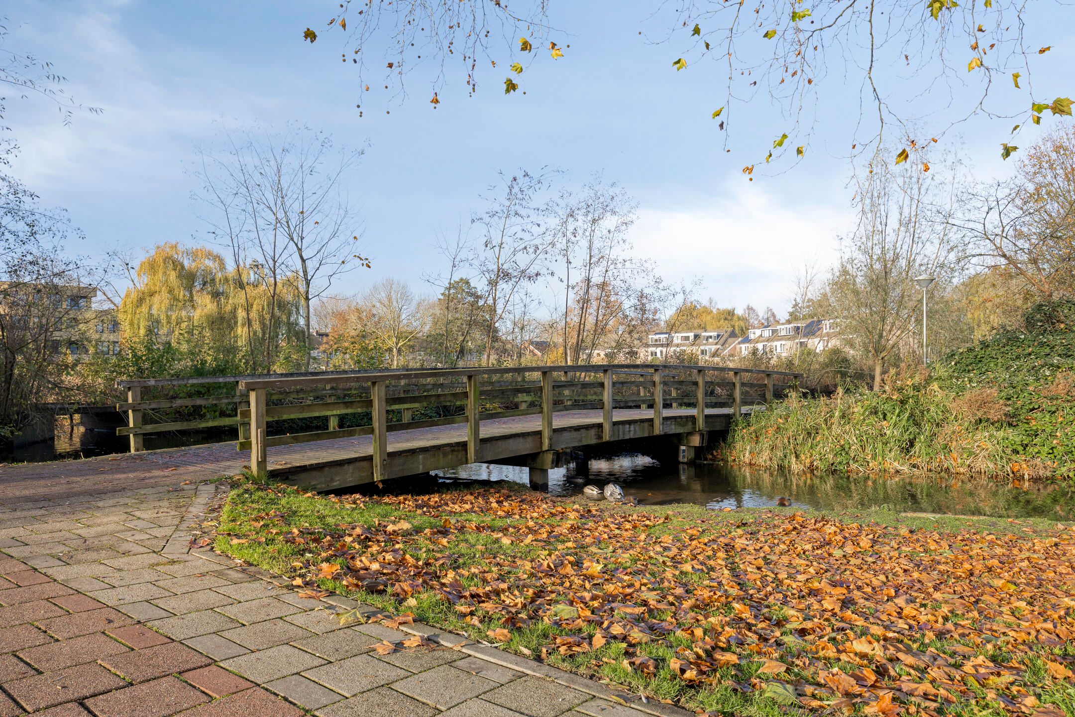 Foto 30 van Strengen 74