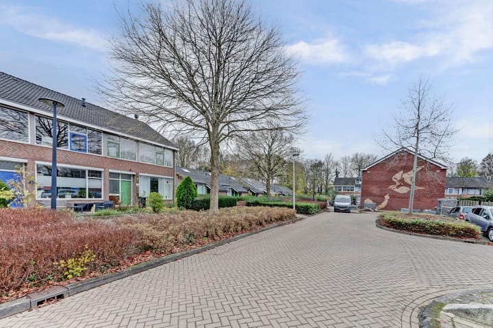 Foto 38 van De Morinel 326