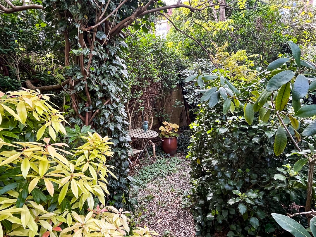 Foto 47 van St. Annastraat 154