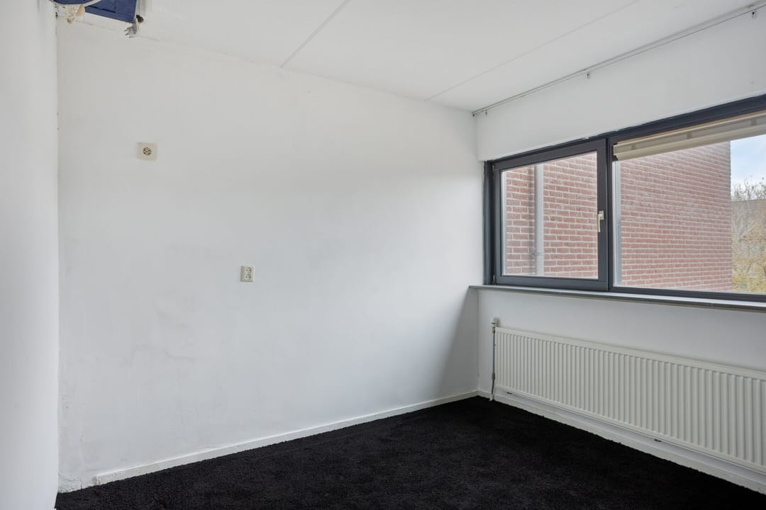 Foto 32 van Waaierpalmstraat 3