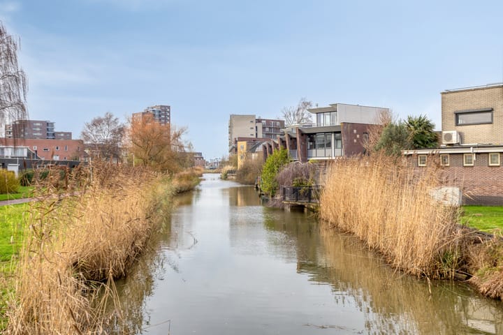 Photo 45 of Waaierpalmstraat 3