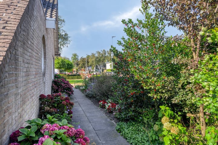 Foto 34 van Jacob Catsstraat 447