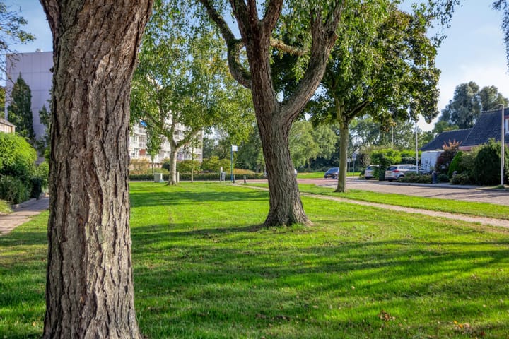 Foto 40 van Jacob Catsstraat 447