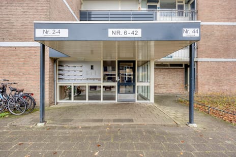 Zesde Buitenpepers 40 secondary image