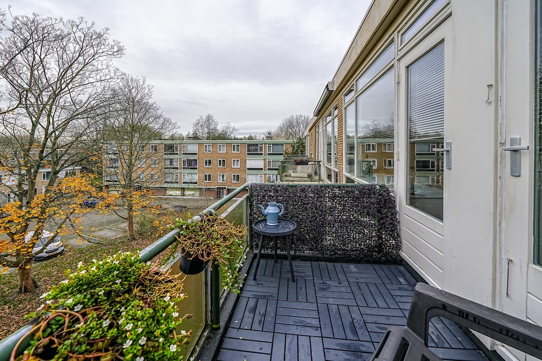 Foto 31 van Bichon van IJsselmondelaan 18
