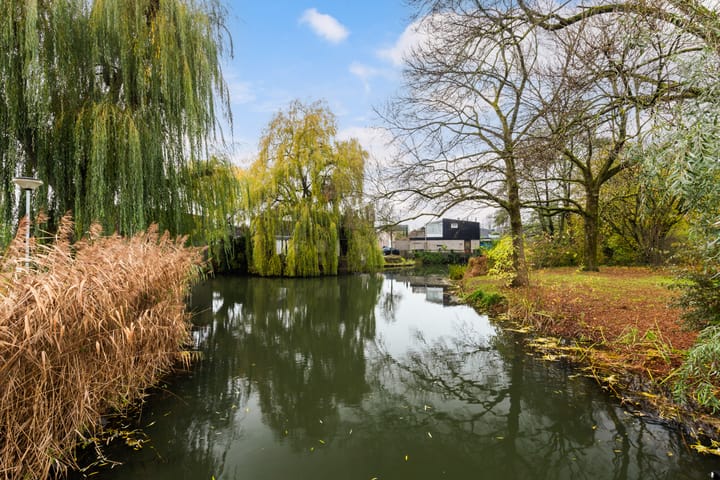 Foto 53 van Zwaluwenburg 34