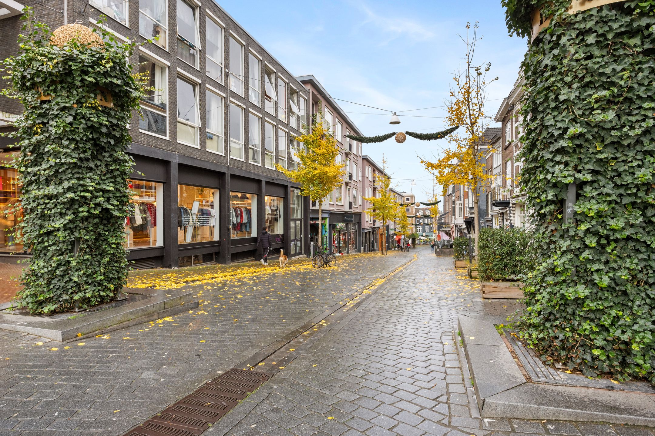 Foto 42 van Stikke Hezelstraat 9