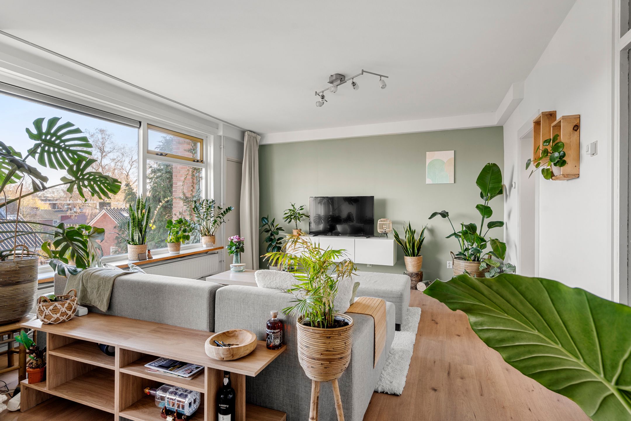 Foto 15 van Van 't Hoffstraat 23-II