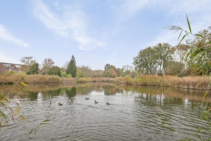 Foto 29 van Zoomwijcklaan 102