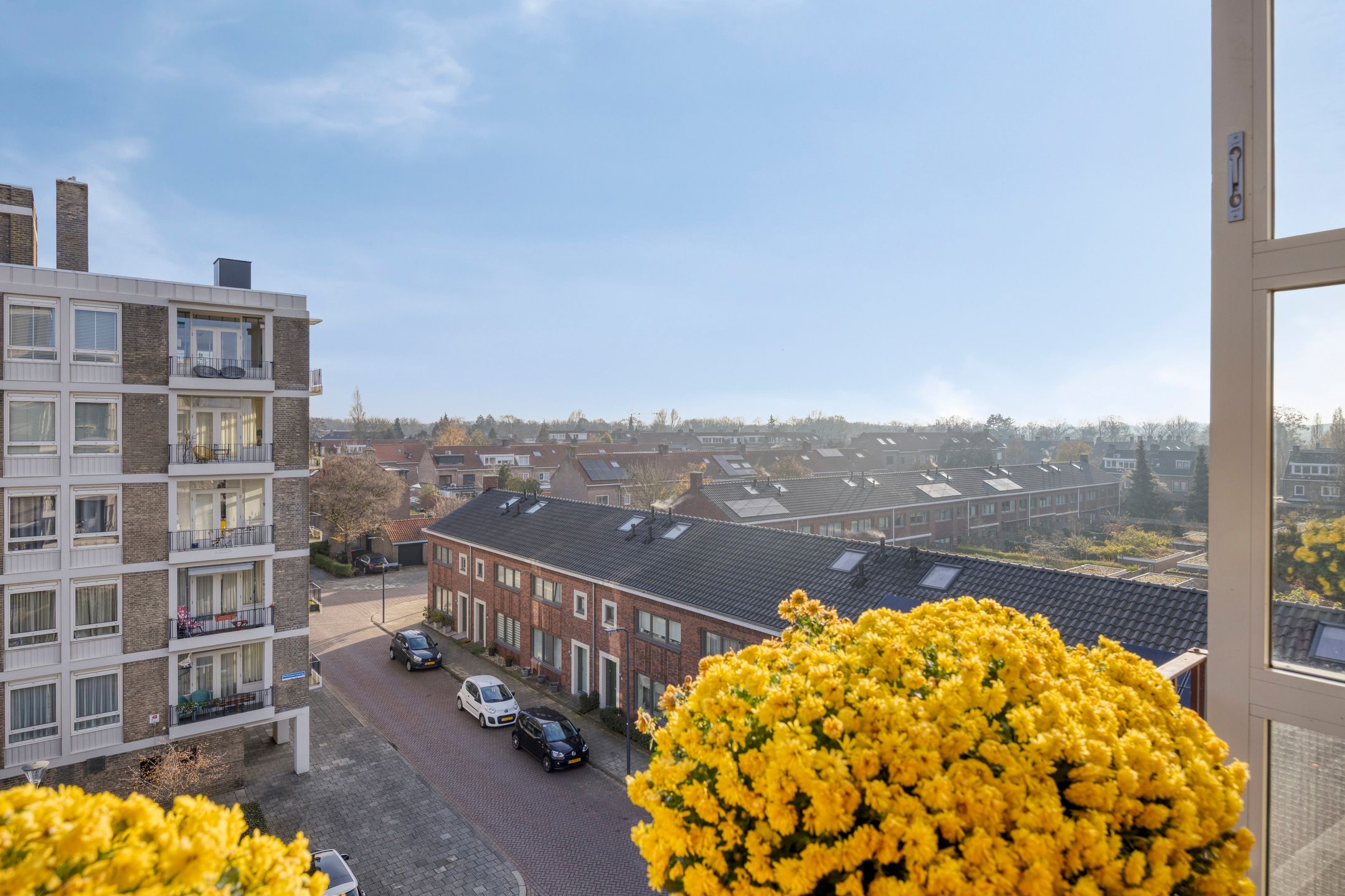 Foto 24 van Pettelaarseweg 91