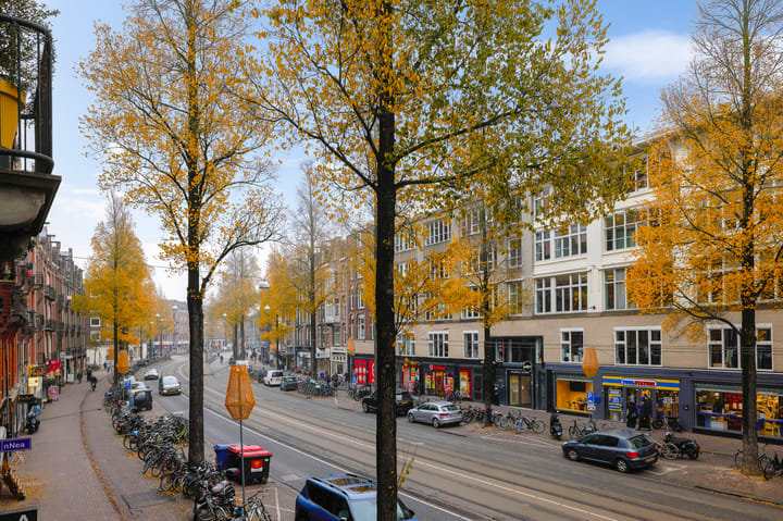 Foto 20 van Bilderdijkstraat 100-1