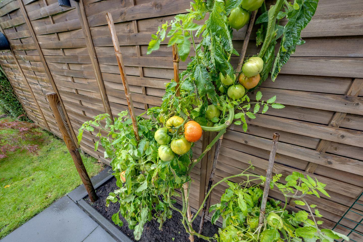 Foto 40 van Adamastraat 5