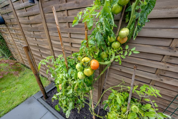 Photo 40 of Adamastraat 5