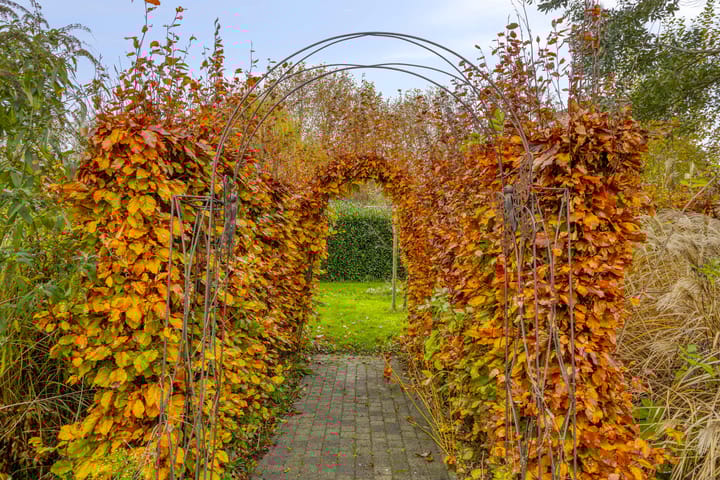 Foto 37 van Blauwstraat 10