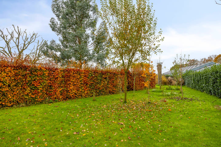 Foto 38 van Blauwstraat 10