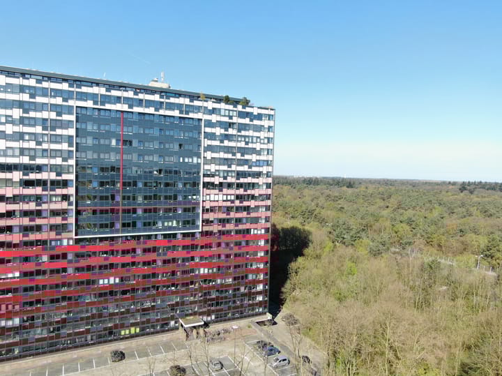 Foto 2 van Laan van Vollenhove 56