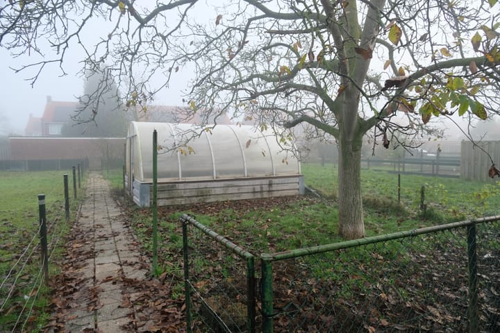 Photo 12 of Lijsterbesstraat 32