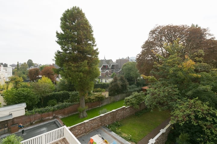 Foto 23 van Laan Copes van Cattenburch 77-A