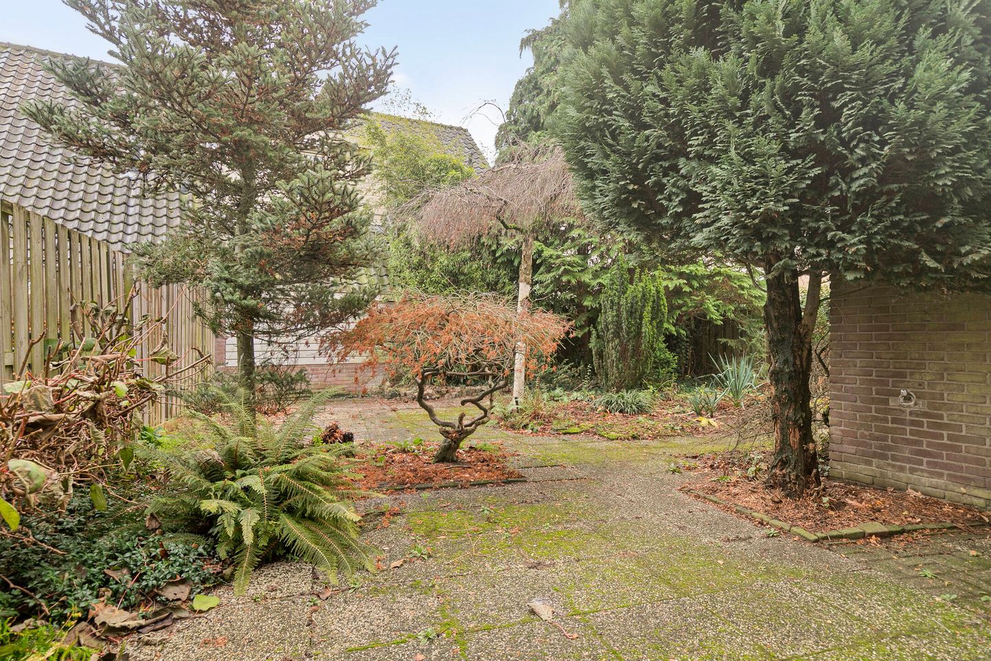 Foto 34 van Wandscheerstraat 39