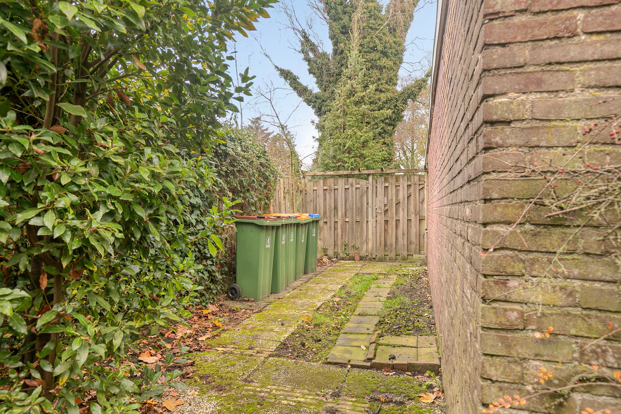 Foto 36 van Wandscheerstraat 39