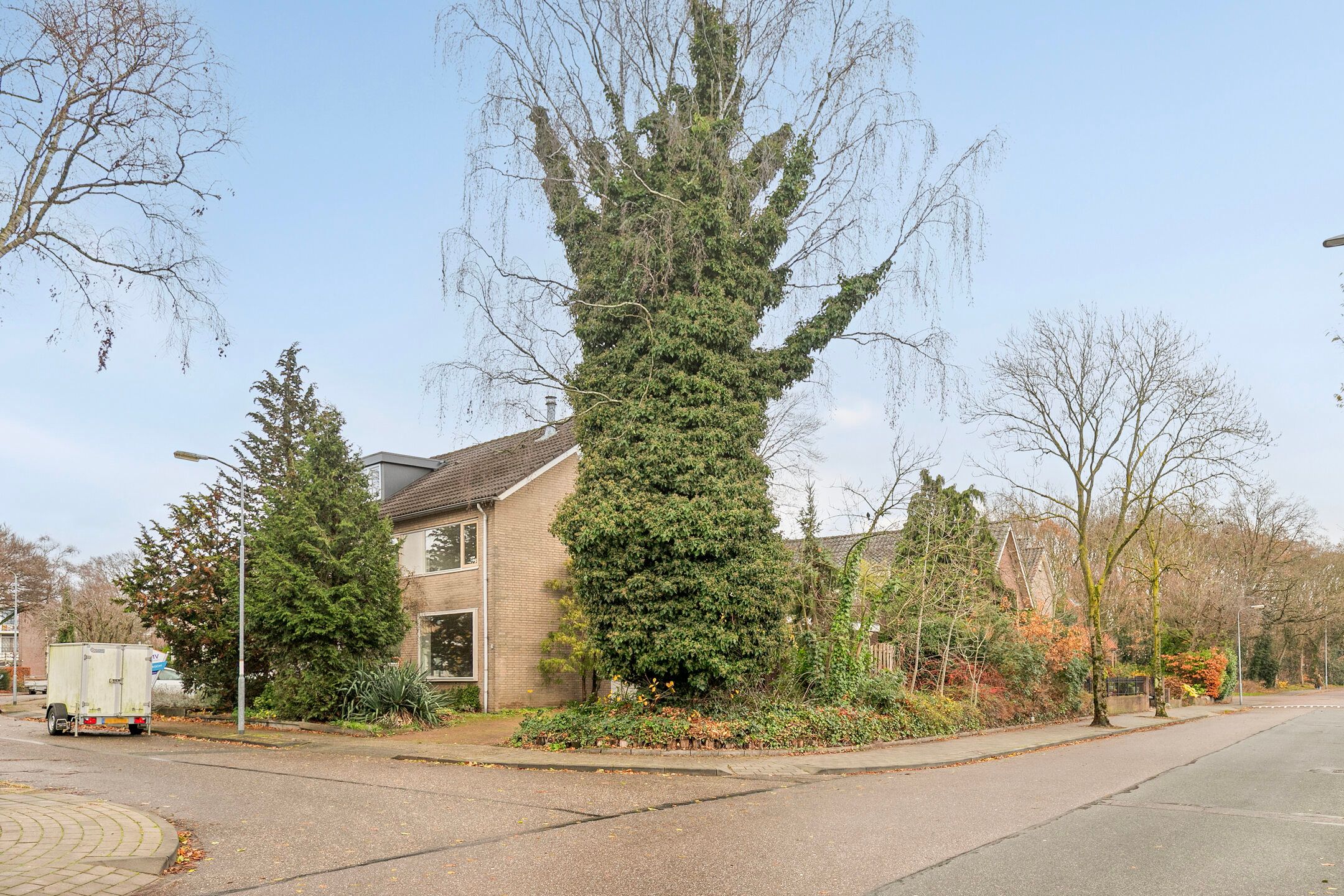 Foto 42 van Wandscheerstraat 39