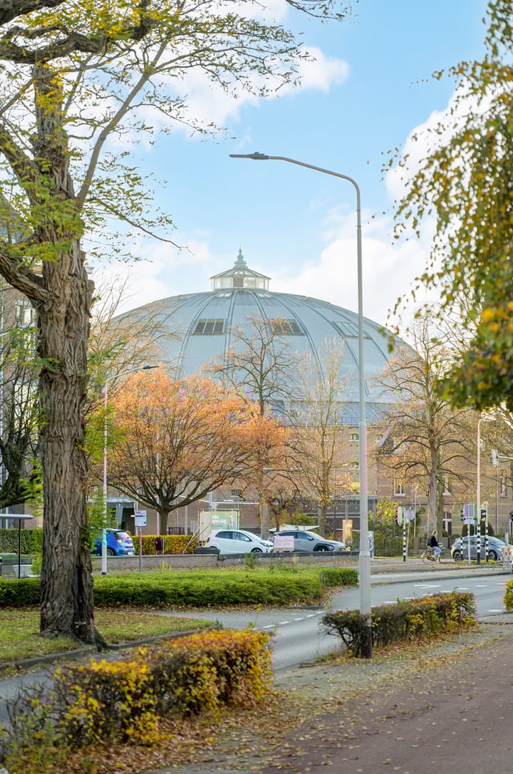 Photo 45 of Maria Cherubinastraat 106