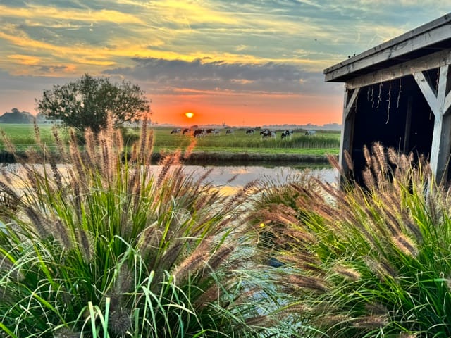 Foto 55 van De Iisbaan 10-N